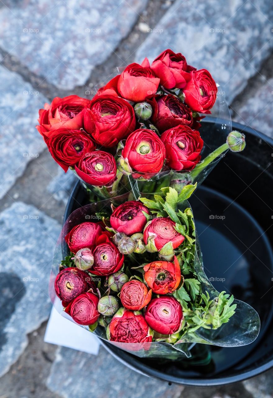 Red flowers