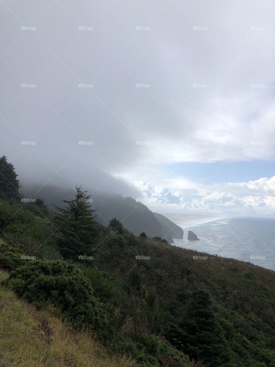Oregon Coast and Fog