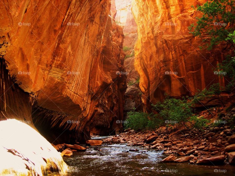 View of stream in bryce canyon national park