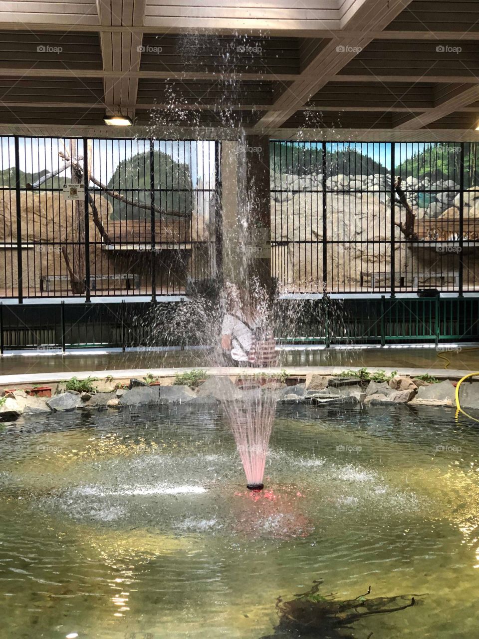 Lonely Fountain