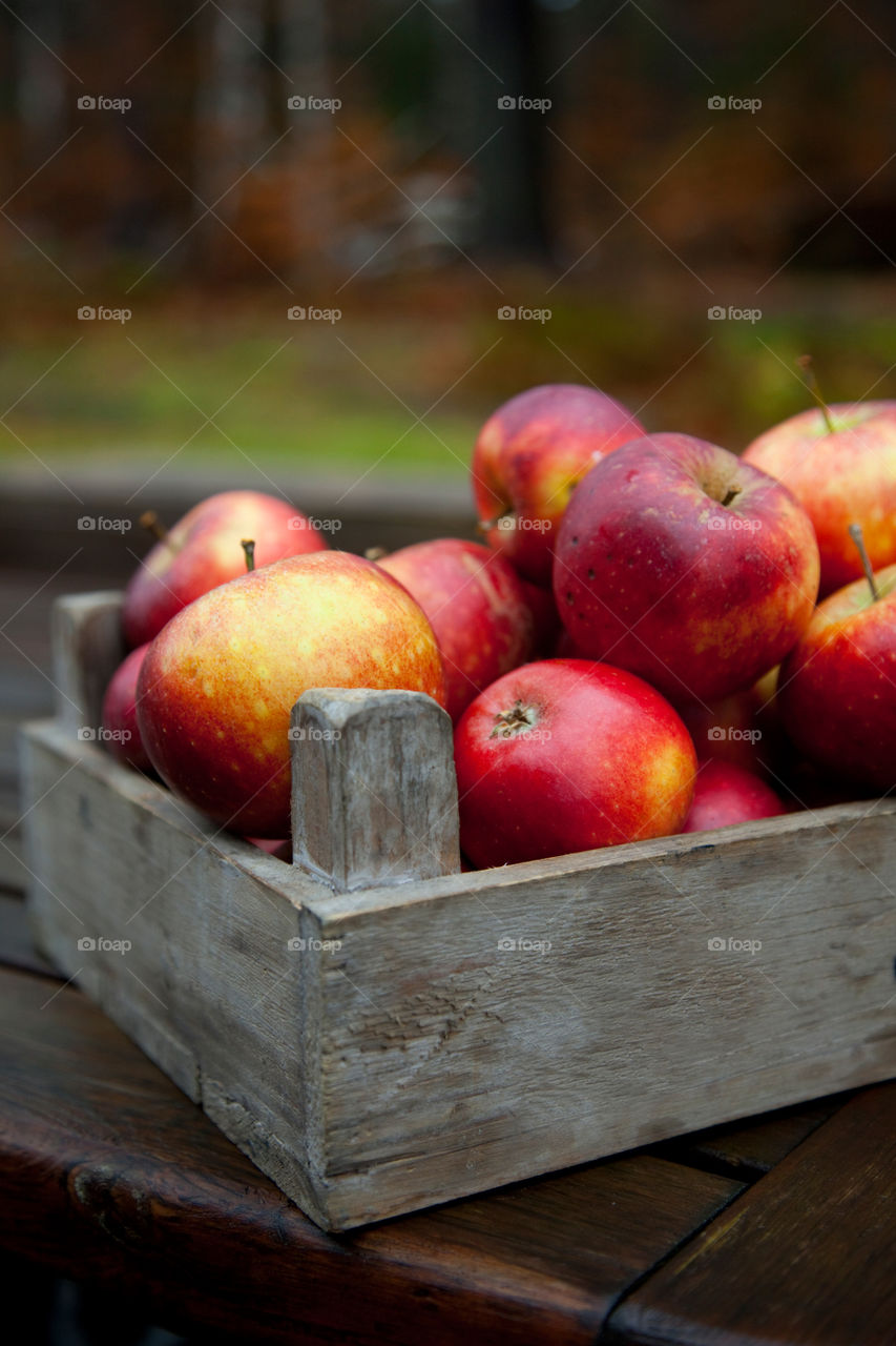 Red Apples 