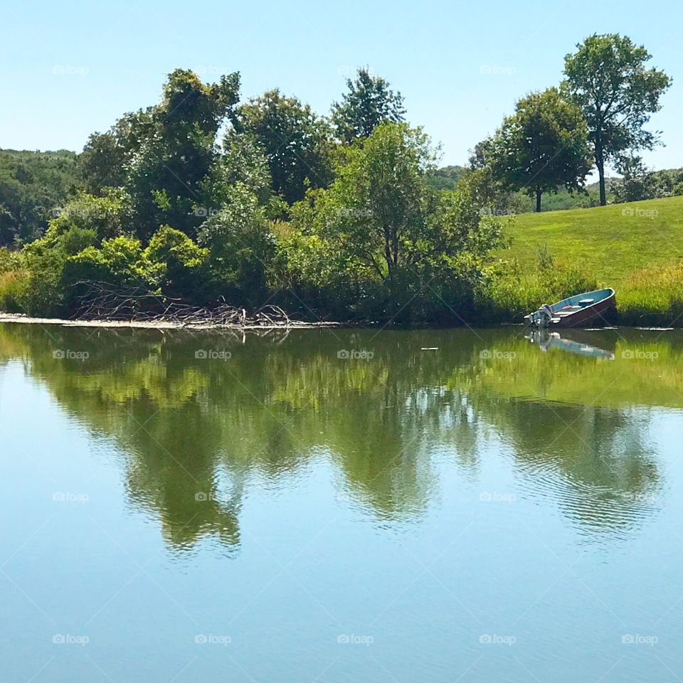 Backyard fishing 