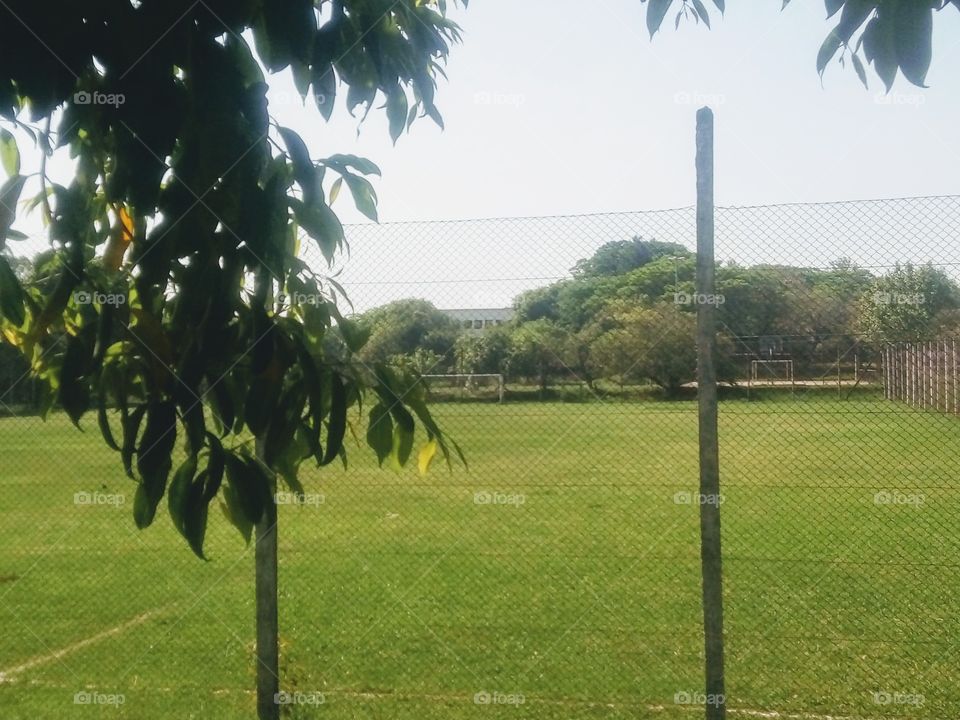 football field
