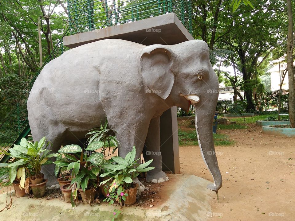 elephant