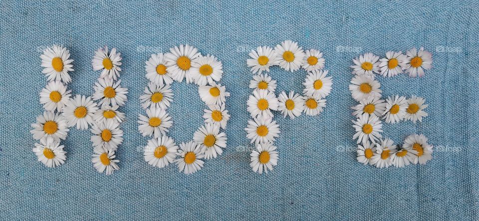 The word hope written in daisy flowers