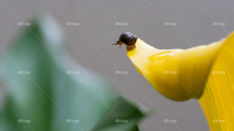 Who’s perspective is more important, that of the photographer or that of the subject? 