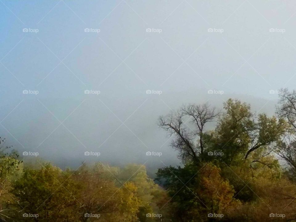 Our early morning drive.  The fog is heavy in the valley.  We can not see the hills.