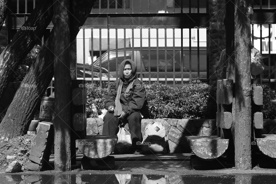 The Lady in the Park