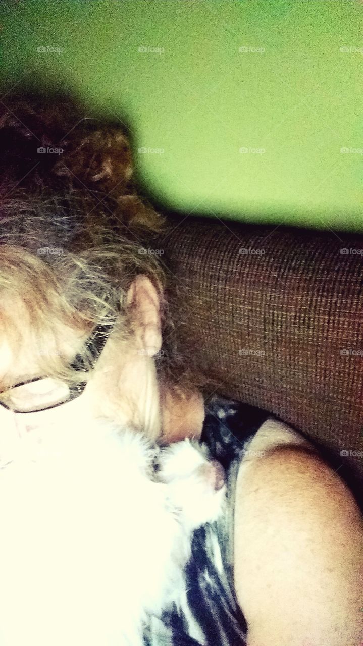 my little dog so afraid of storms she is stuck to me like glue