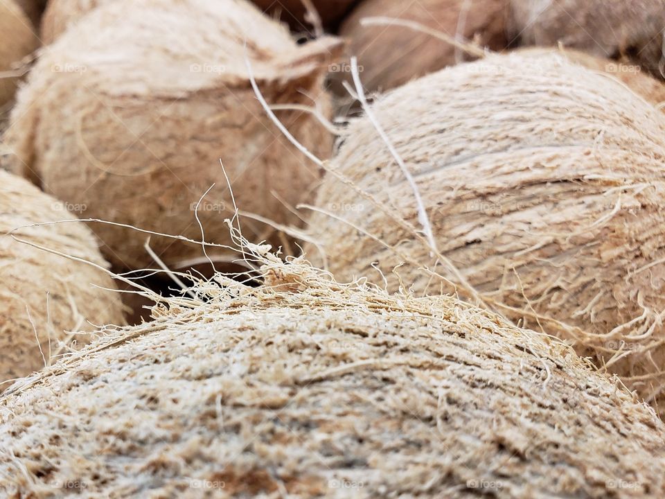 Fine details on coconut fibers from closeup 