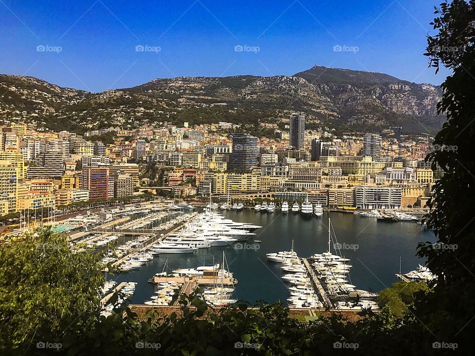 Bay of Monte Carlo 