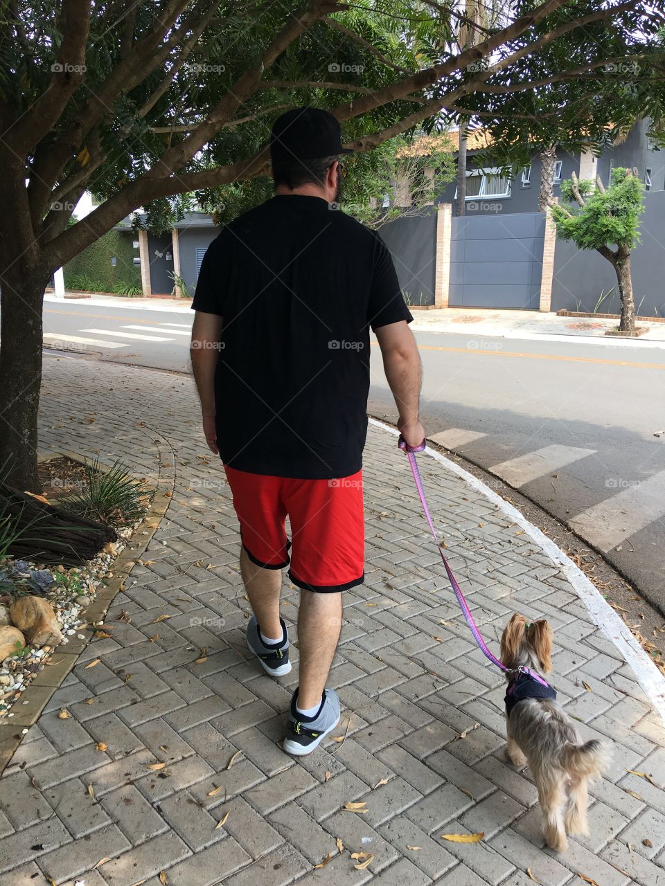 Walking with dog