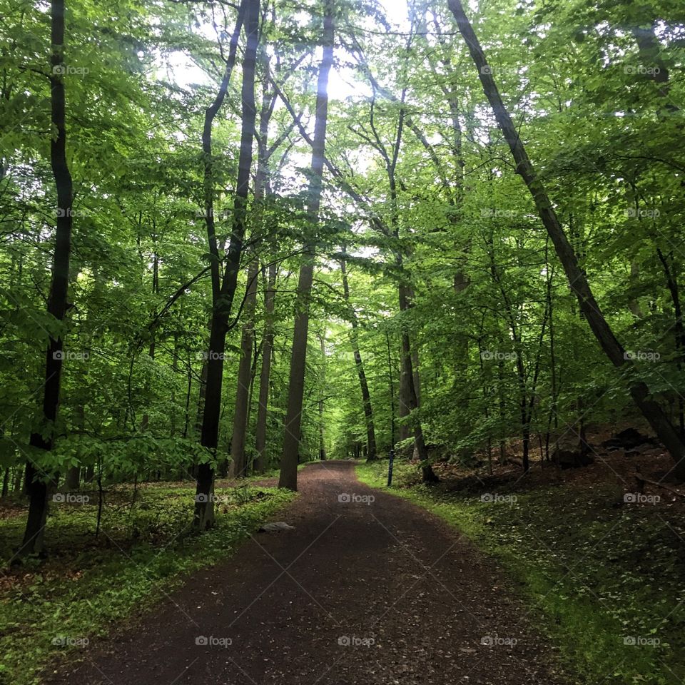 "The obsession with running is really an obsession with the potential for more and more life." George Sheehan