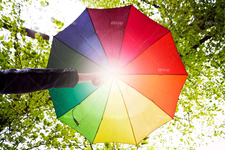 Colorful umbrellas