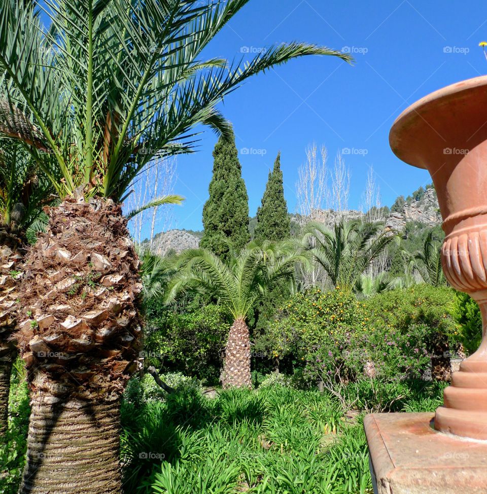 mediterranean garden