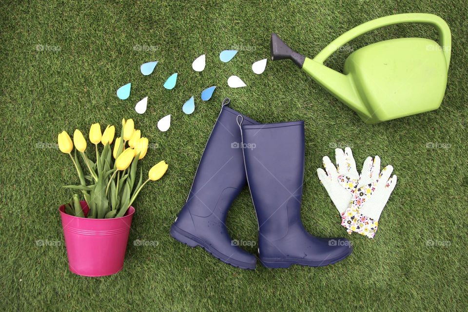 Flat lay of Spring items Tulips watering can, gloves and rain boots fun
