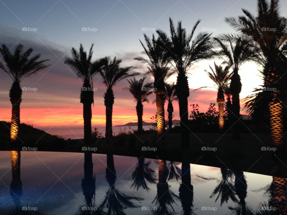 San Jose del Cabo JW Marriott