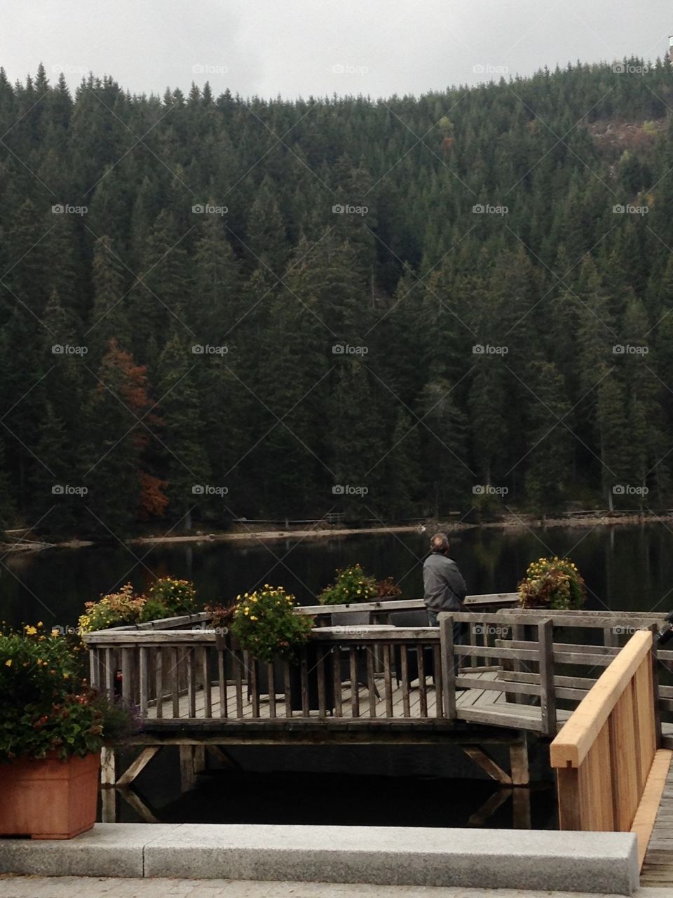 Forest... way into the unknown, a long way to go...Does it have a more beautiful view than nature itself!?