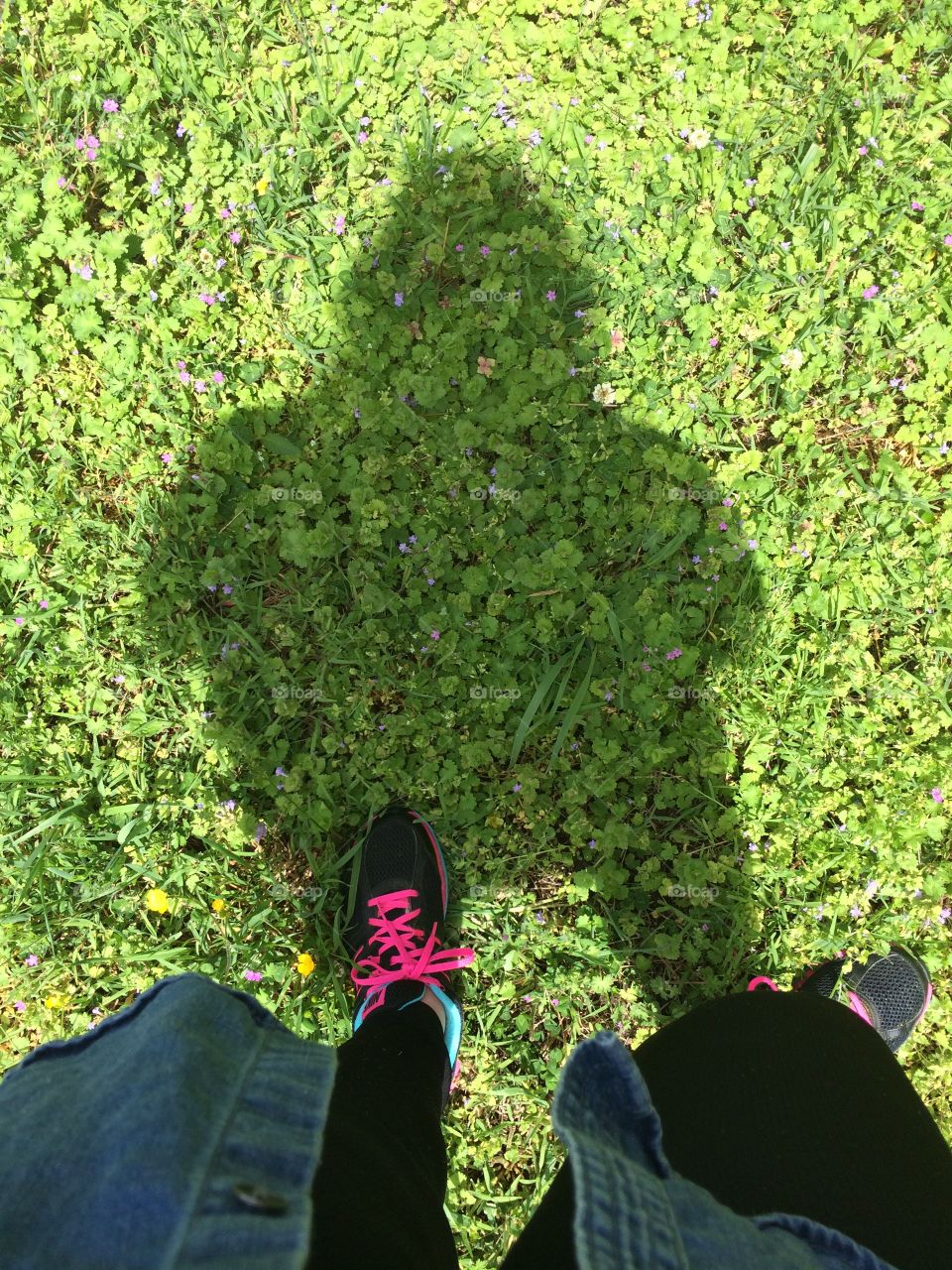 Garden, Leaf, Grass, Tree, Nature