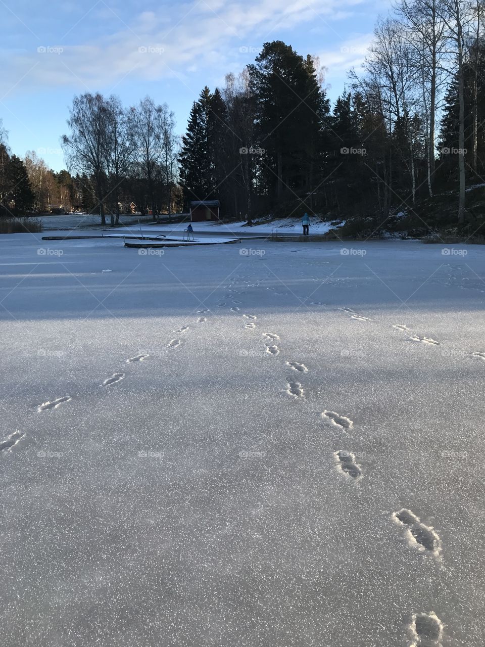 Footprints on an ice lake