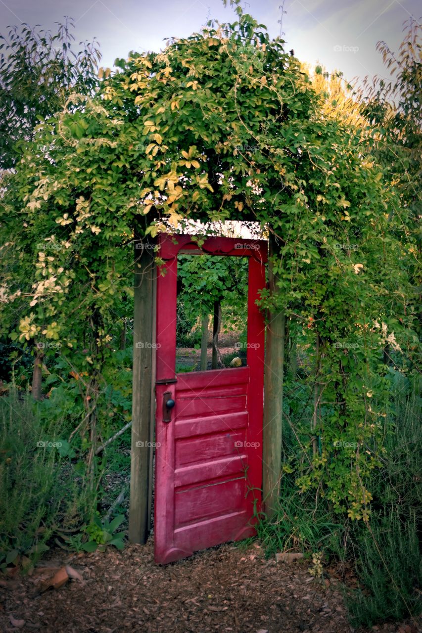 Garden door