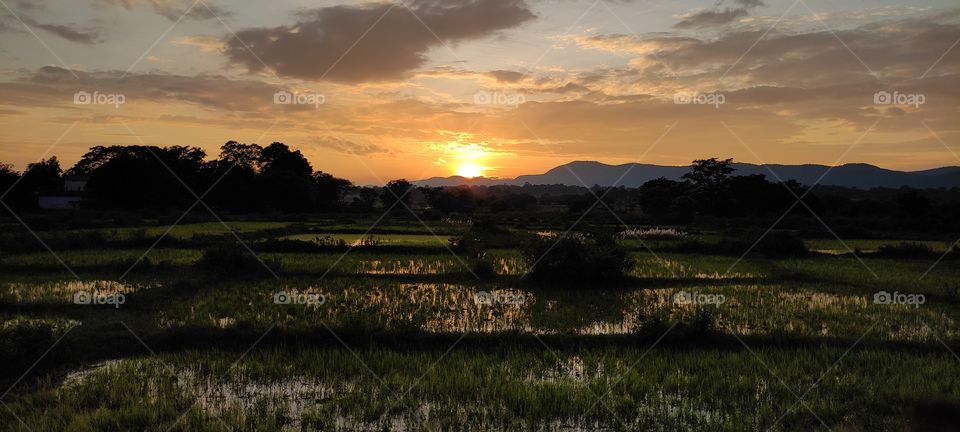 A beautiful scenery while sunset is happening.
