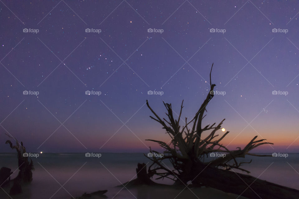 purple night sky with stars meeting the orange and pink sunset colors of the horizon over smooth foggy water coming up to the silhouette of an overturned tree with roots reaching into the sky