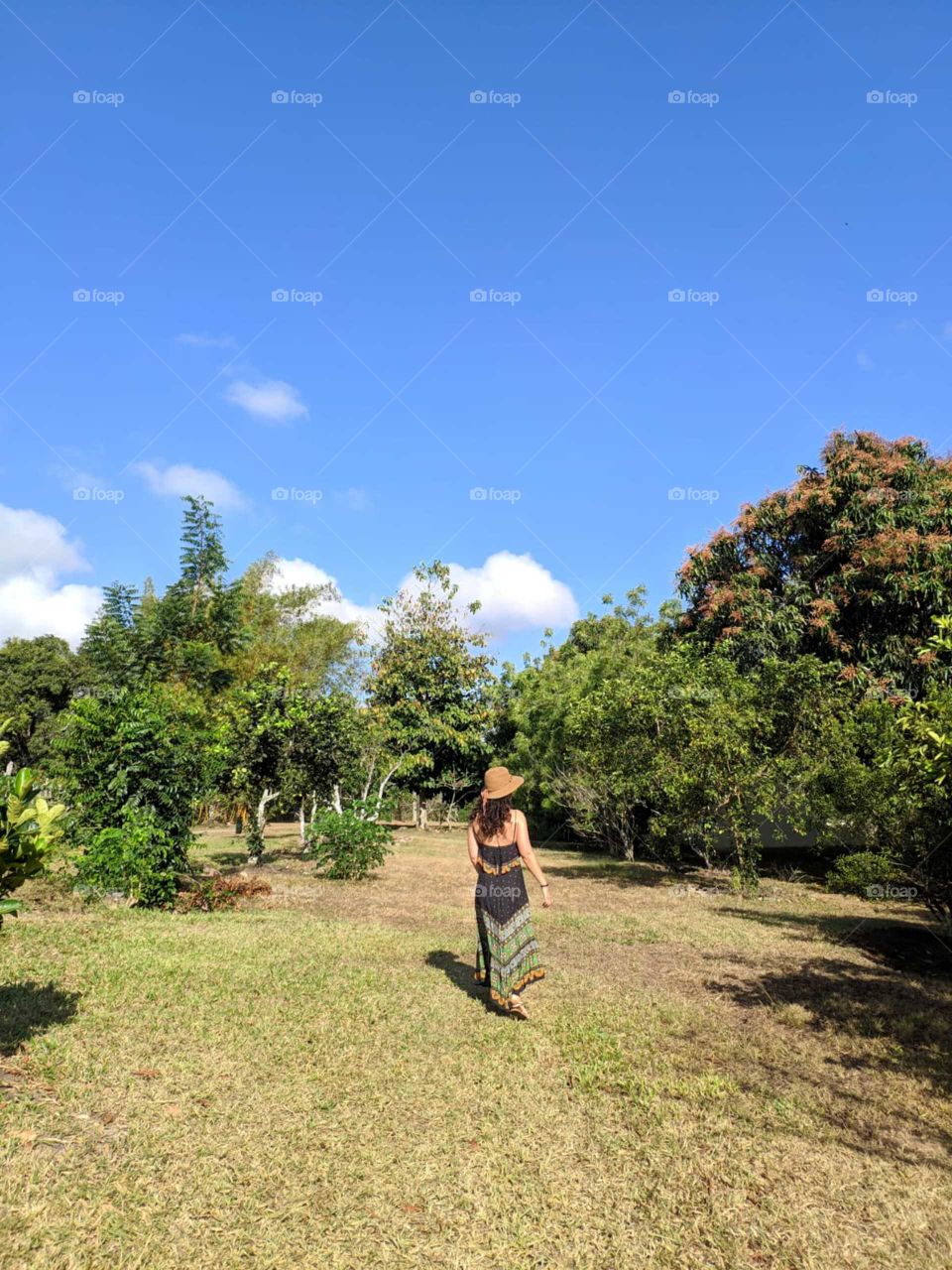 An open farm field, full of trees, plantations, fruits, nature... It is also possible to see a woman walking through nature