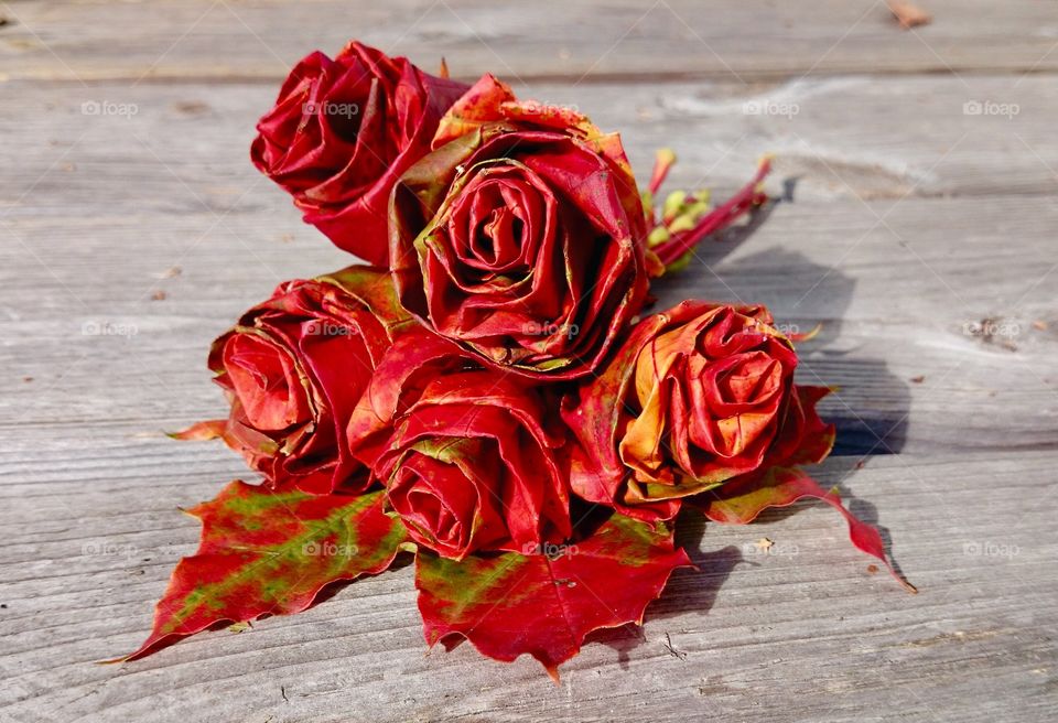 Roses made of leaves