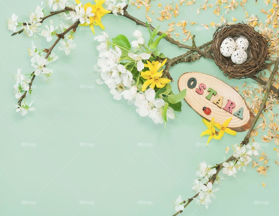 Ostara themed flat lay, with blossoms and a bird’s nest with speckled eggs