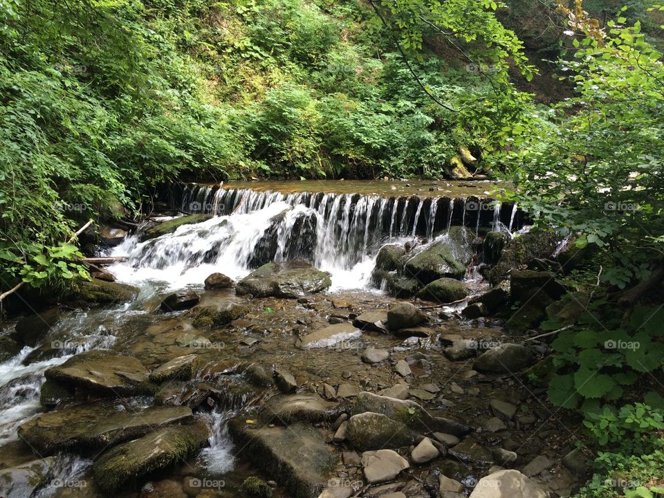 River in Transkarpatia