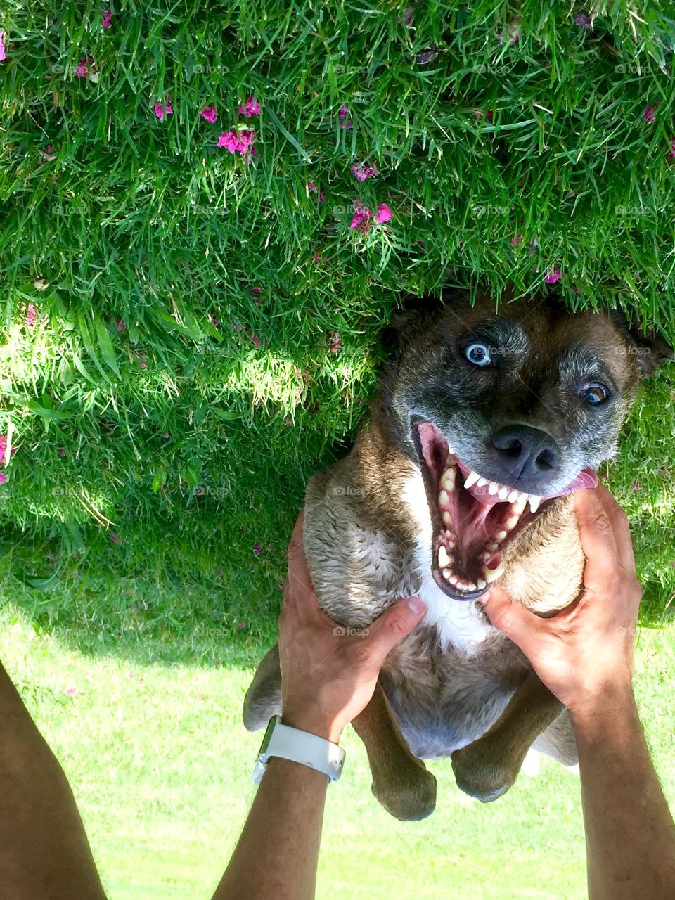 This IS my happy face!