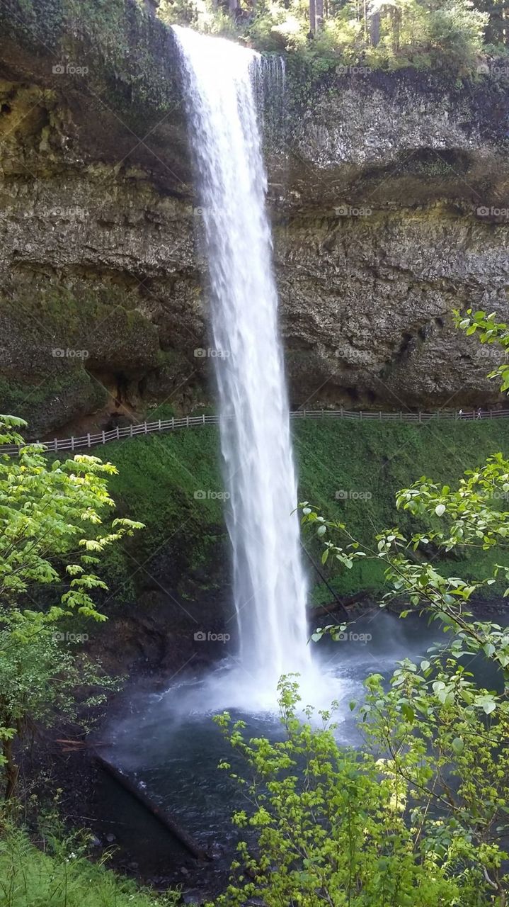Dont Go Chasin Waterfalls