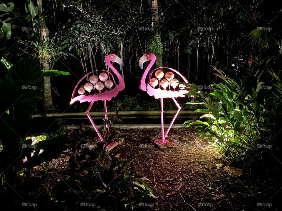 Garden of Flamingos 