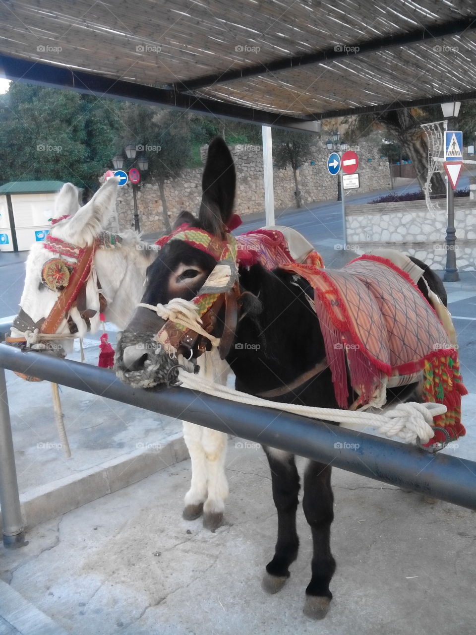 taxi stop in Mijas