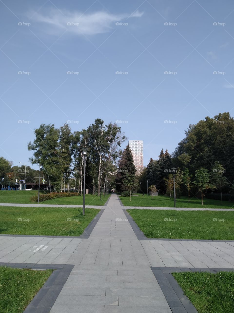 View of the city high-rise from the Park.