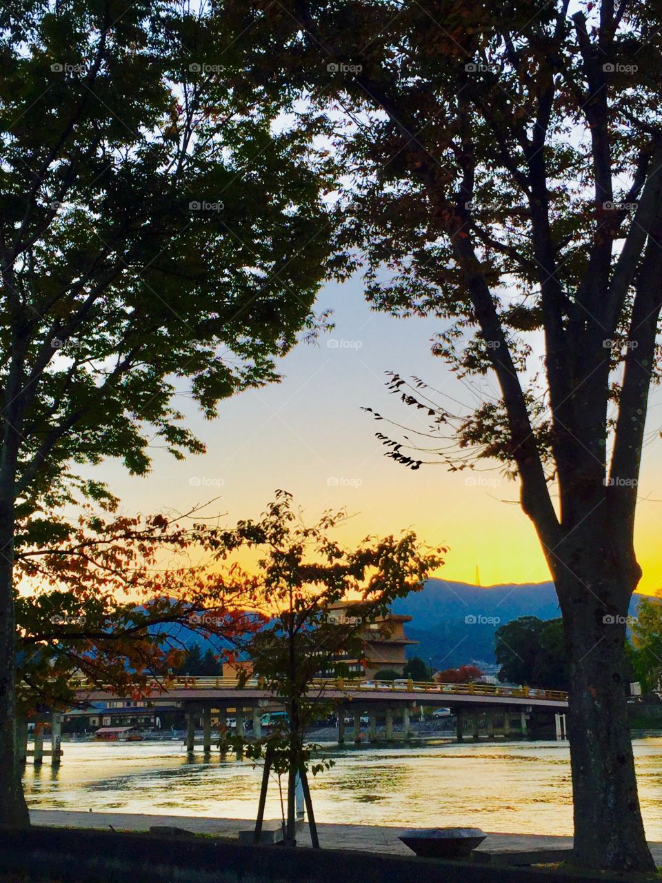 old bridge in the sunset