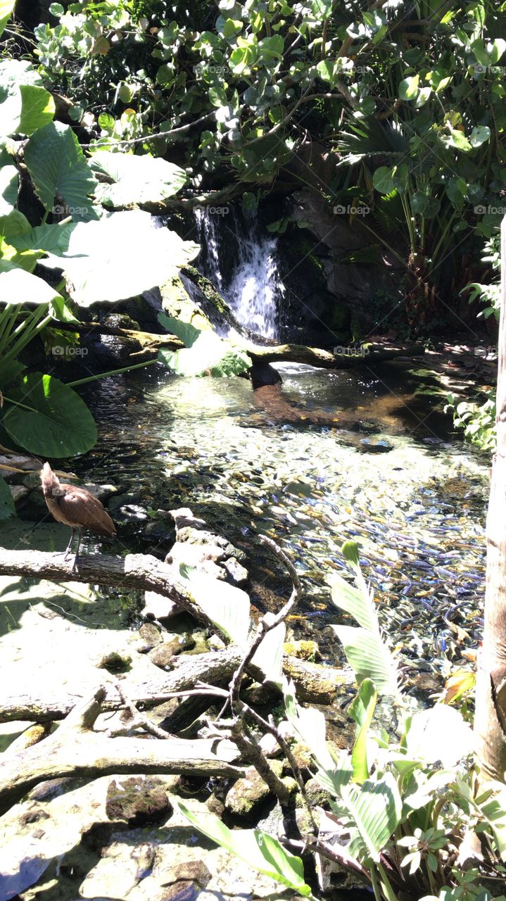 Nature