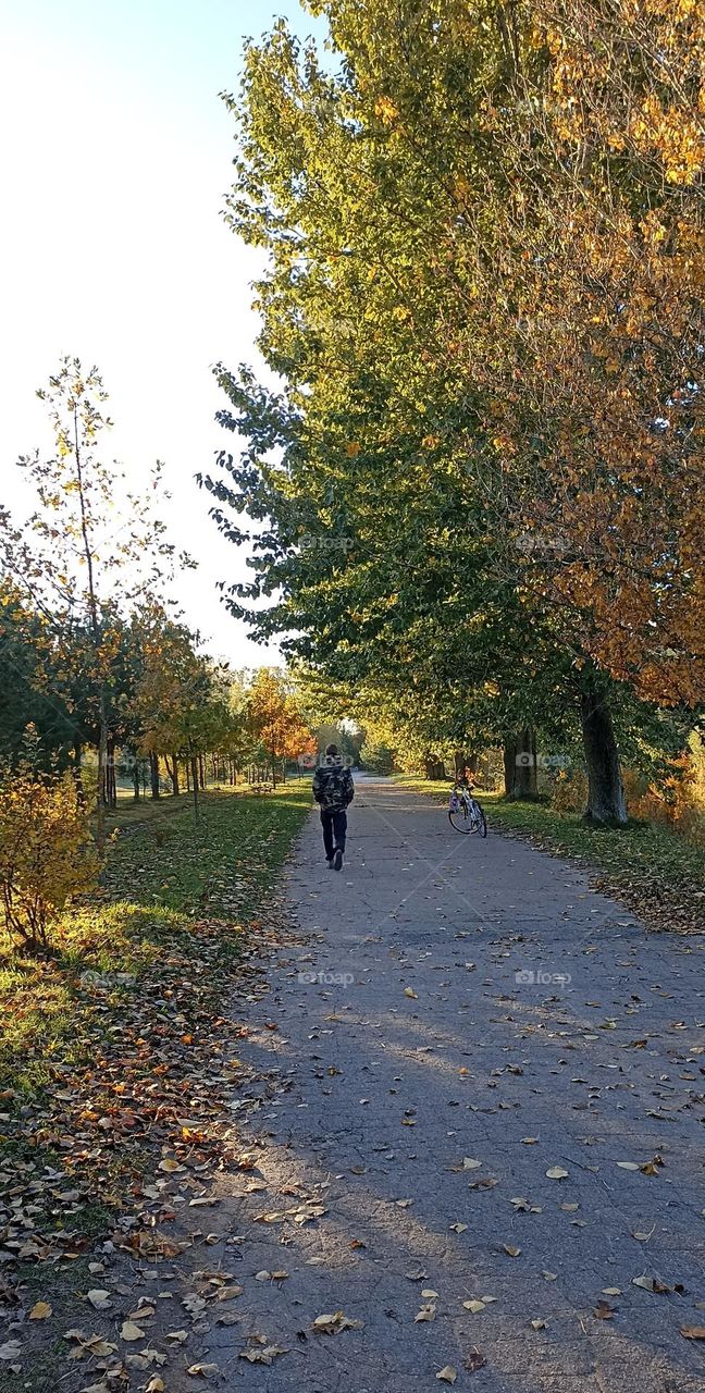 person walking on a road autumn nature landscape