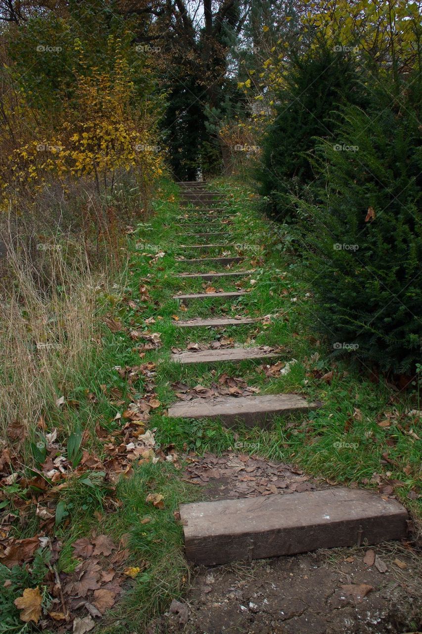 green nature forest park by Petalskull