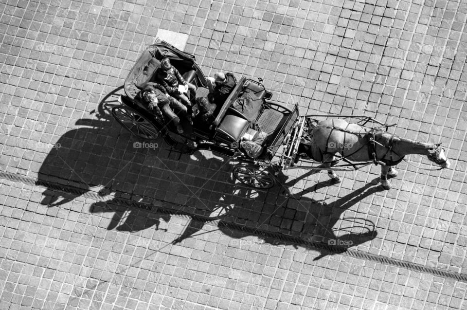 View of the carriage with a shadow