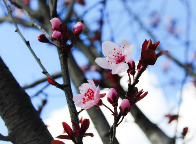 Spring has sprung