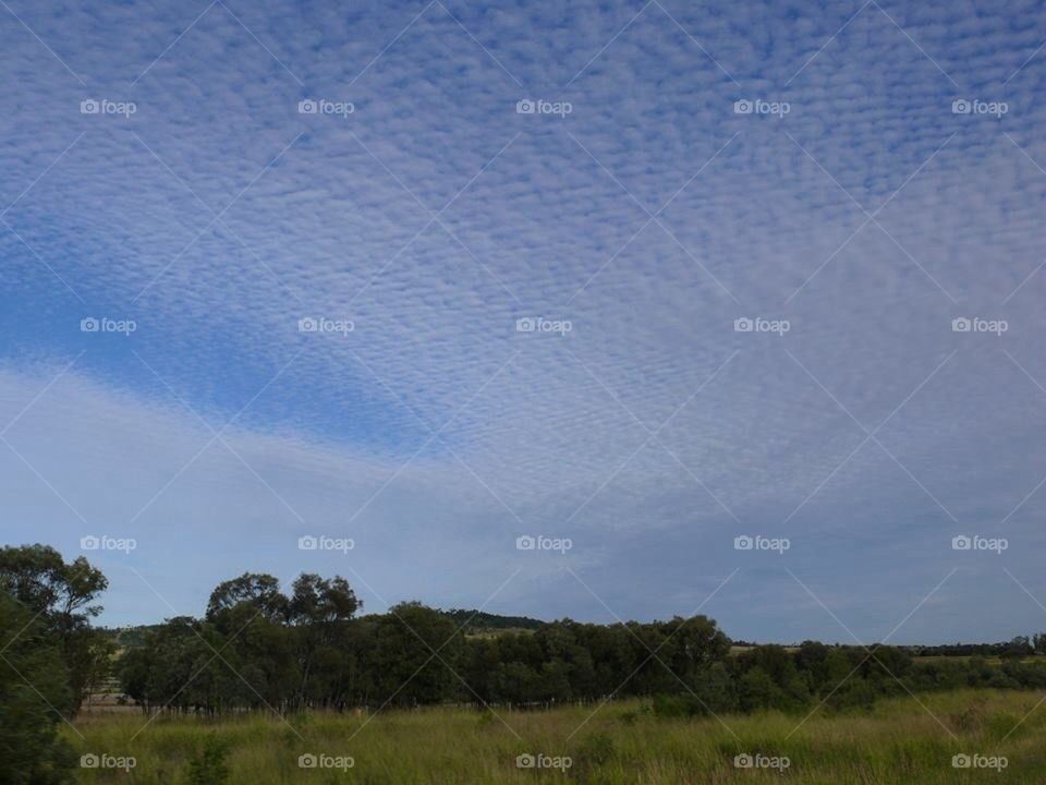 Mackerel Sky