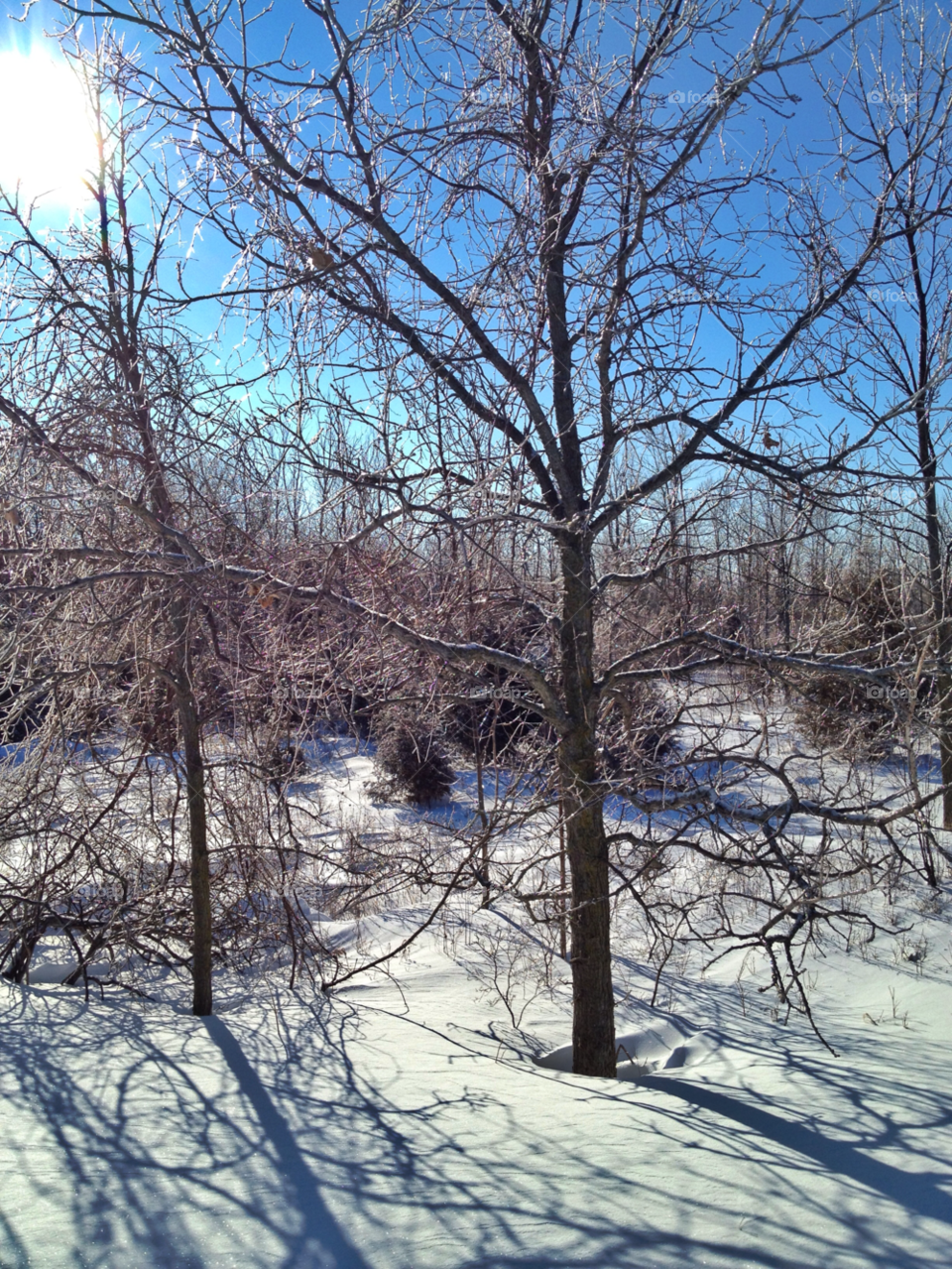 snow winter landscape sky by somebeach
