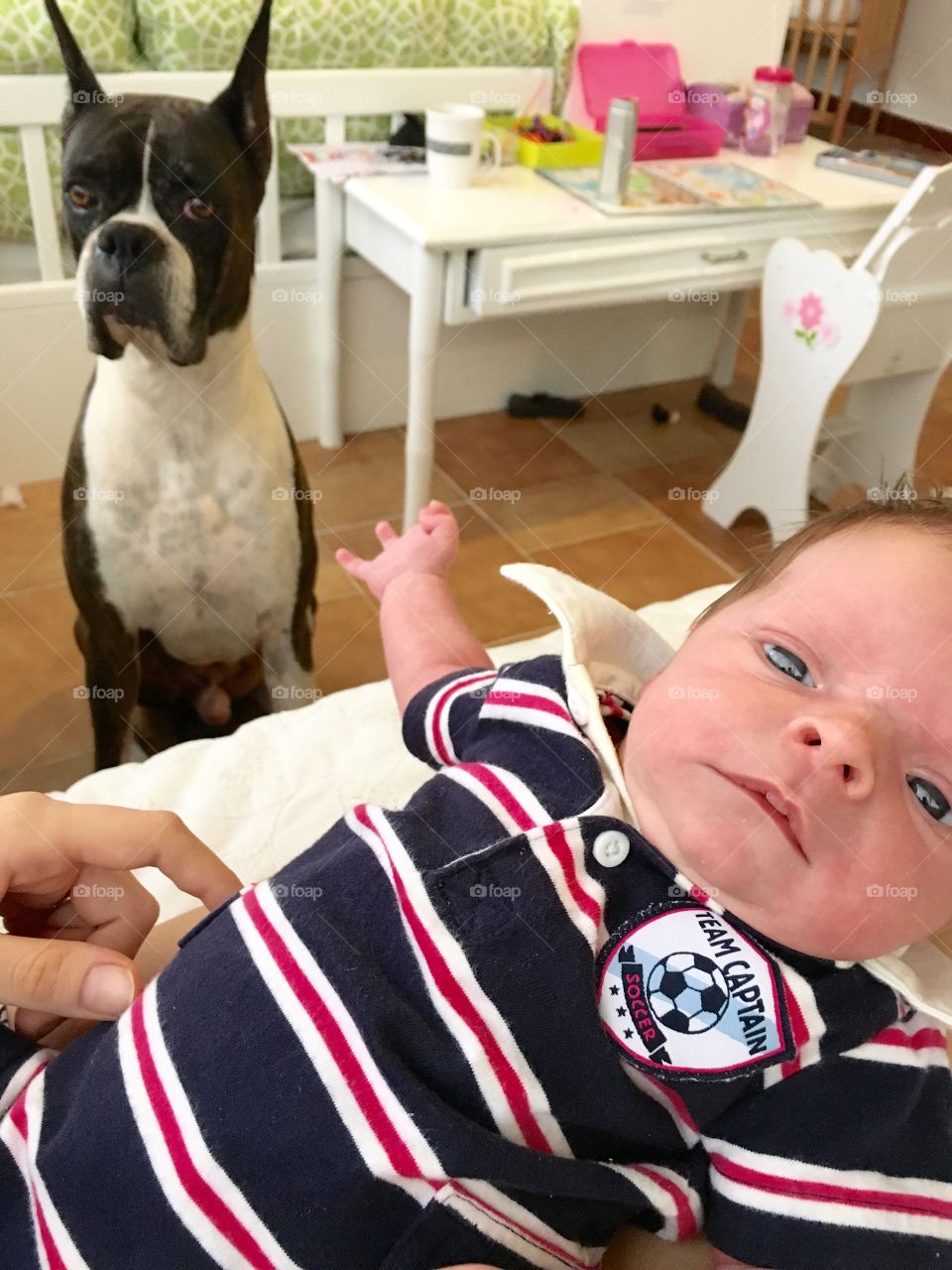 Baby boy lying on bed and a dog at home