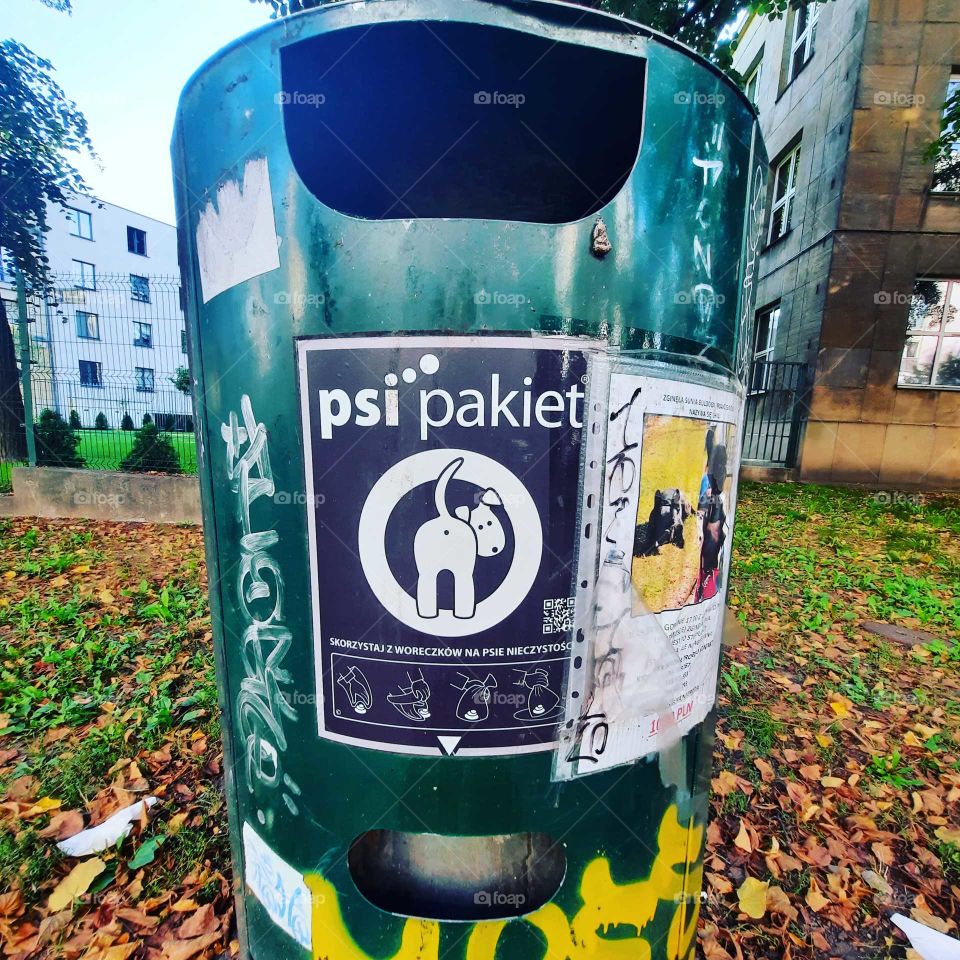 in case u don't know where dogs pup come from