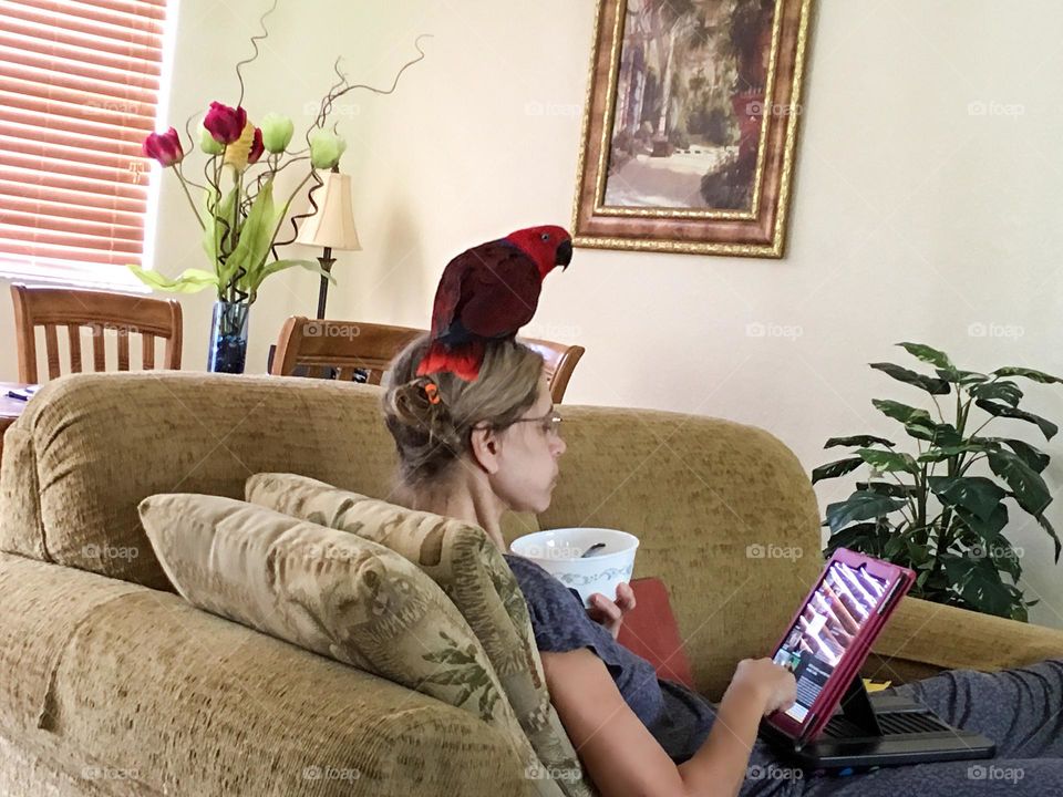 On the couch with my pet parrot perched on my head.