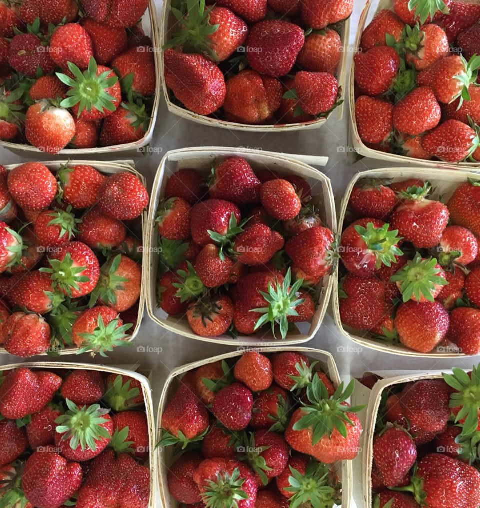 Strawberry Season!