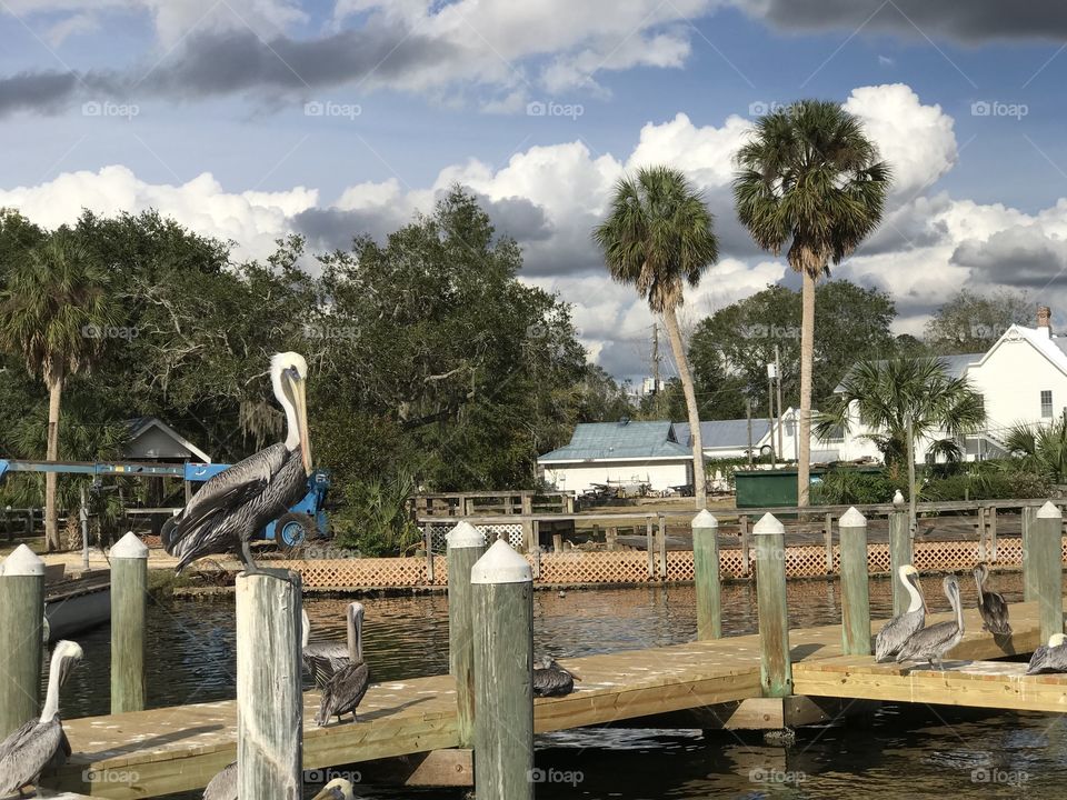 Resting spot - DO NOT DISTURB