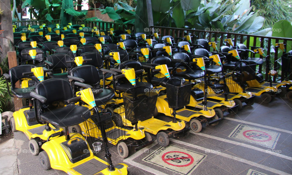 lets go around the park with e bike